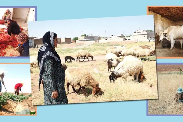 Rojava'da kadın kooperatifleri