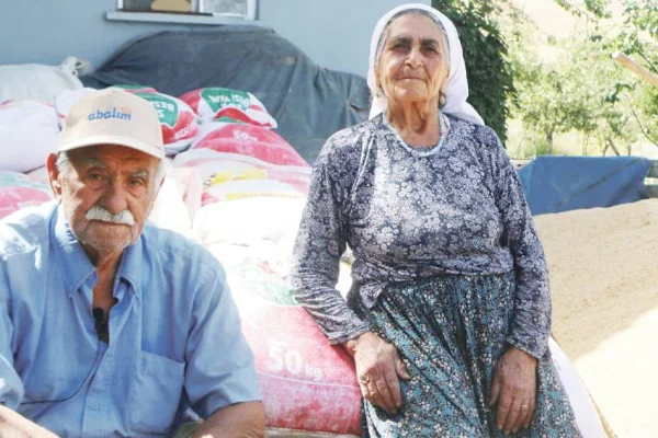 Yerli tohumlar Pertek’te hayat buluyor