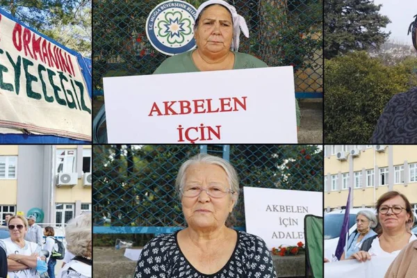 Ağaç kesme değil, yaşam savunusu