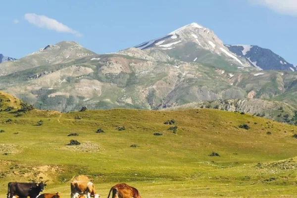 Andok, bir dağ olup…