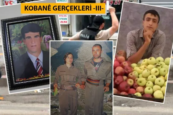 KOBANÊ GERÇEKLERİ-3: Dargeçit'te üç fidan...