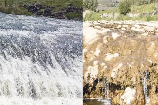 Bendimahi Çayı kuruyor, İnci Kefali tehdit altında