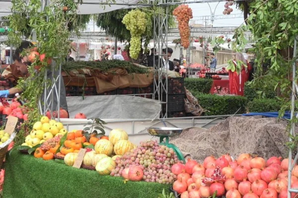 Kadınlar nar festivalinde