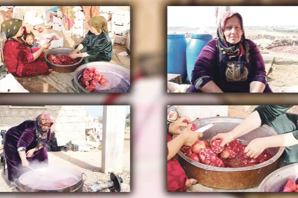 Efrîn’in nar suyu