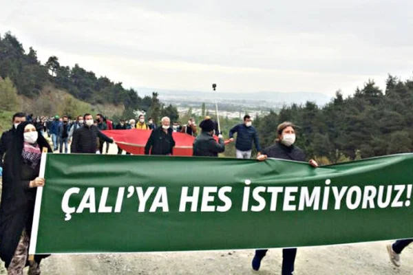 Salgın krizinde ekolojik yıkım fırsatı