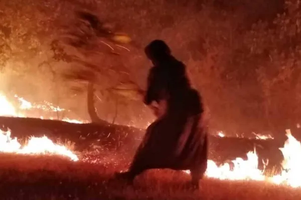 Botan’ın ekolojisi mahvediliyor