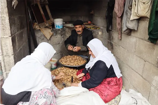 Ceviz çuvalına sığmayan hikâye
