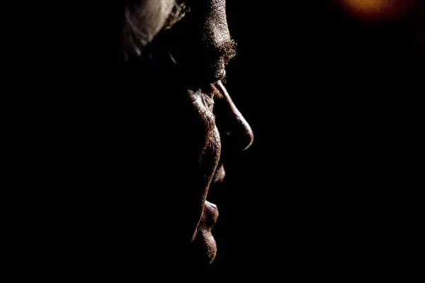 Hollanda'da seçimler ve aşırı sağın yükselişi