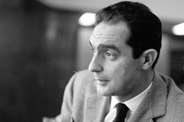 ‘Kalem Sincabı’ ve partizan: Italo Calvino
