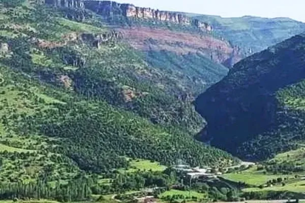 Köylünün değil şirketin çıkarı!