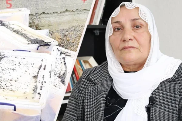 Her şeyimiz o kutularda