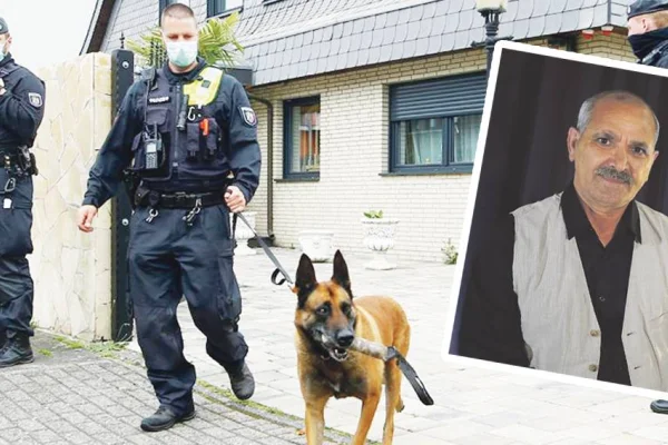 Kapıları kırdılar, köpekle girdiler