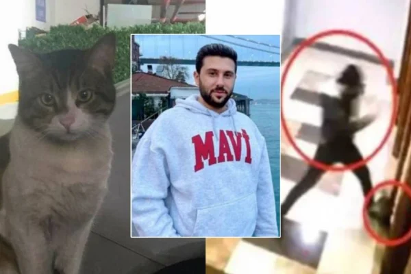Asansörde cinayet: Agatha Cristie