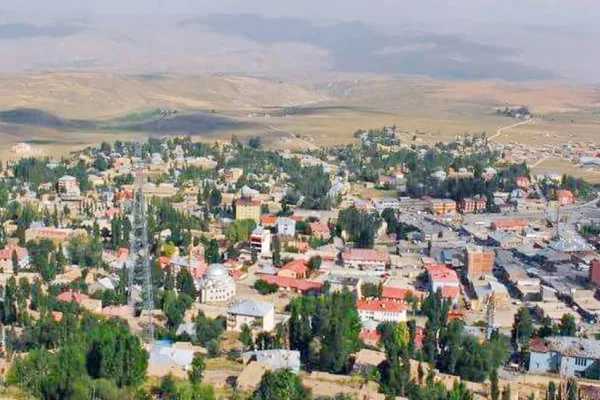 Elbak göç ediyor