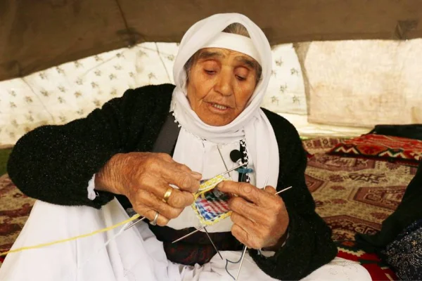100 yaşında bir çınar