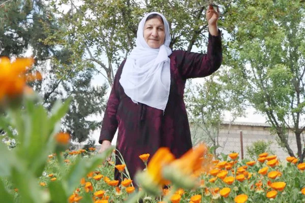 Toprak gördüğü her yere gül ekti
