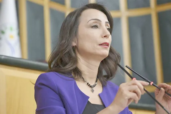 Efrîn'de ne işiniz var?