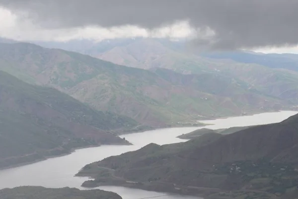 Şenyayla kıyıma filizlenerek direniyor!