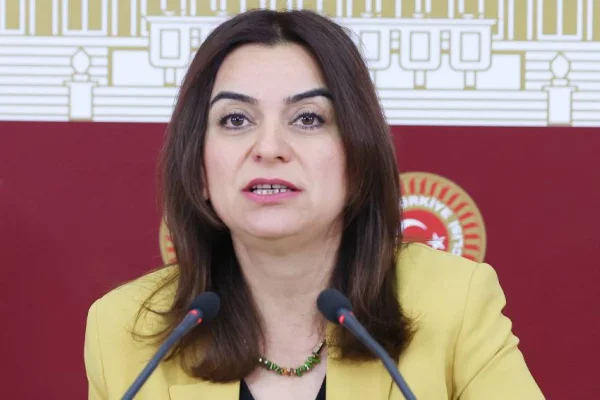 Yönetmeliğin hedefi Kürtler