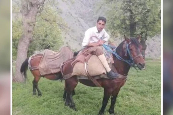 Katledip suya attılar