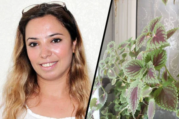 Bir çay çiçeği: Deniz Poyraz