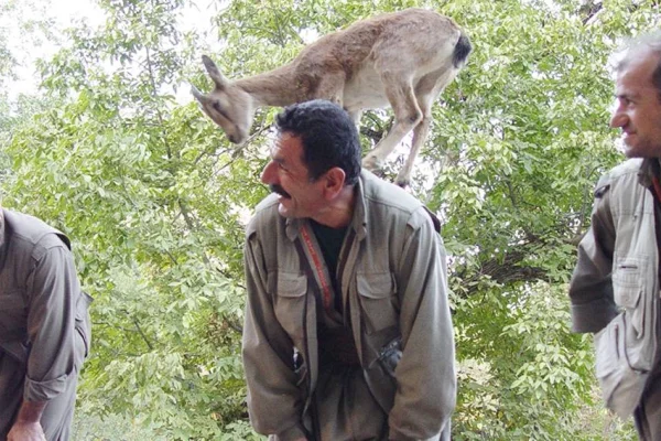 Dağların perileri