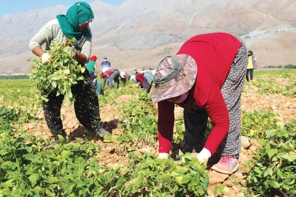 Salgın şartları zorlaştırıyor