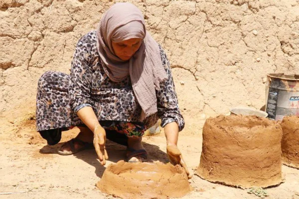 Bir kovandan arıcılığa