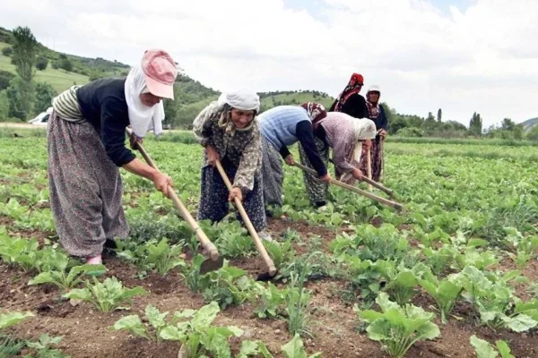 Kadınlar için mayınlı tarla