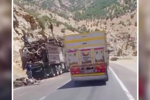 Elkê'de ağaç kesimi sürüyor