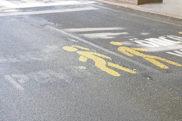 Fikir babası TEM polisi