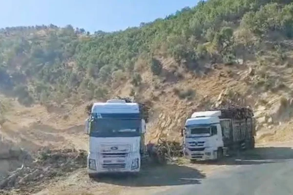 Gabar’dan Efrîn’e kıyım