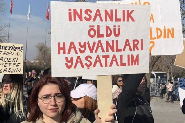 Yaş kesen, baş keser!