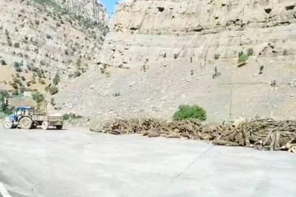İki yüzlü ekolojistler!