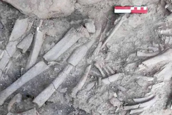 Dicle kıyısında 12 bin yıllık kadın mezarı