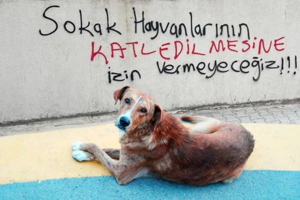 Yasa geçti katliamlar başladı