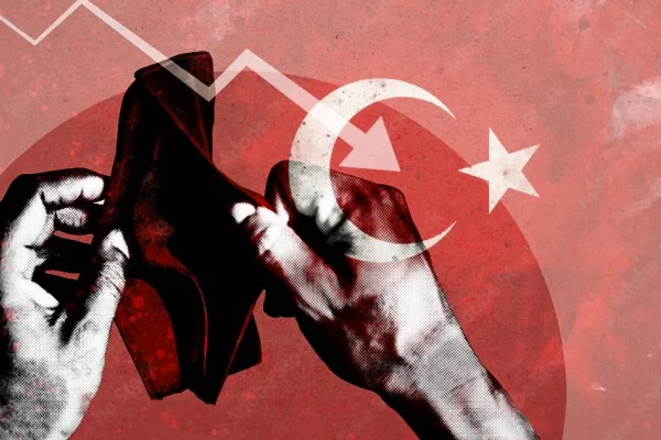 Hegemonya krizi: Devlet, Türklük ve ekonomi