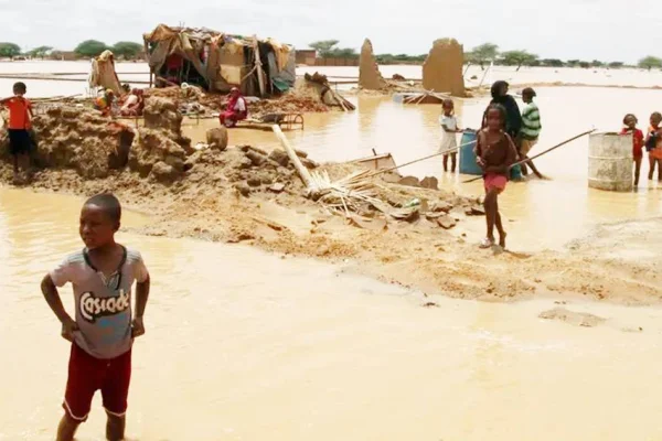 Sudan sele 173 can verdi