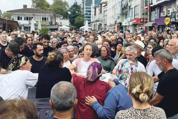 Katil şirket, AKP beslemesi
