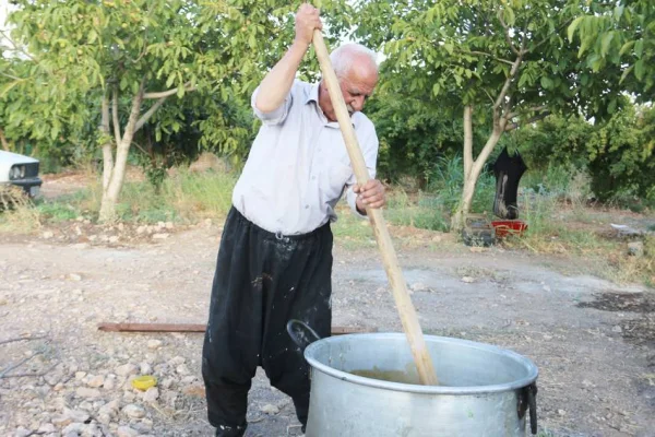 İklim krizi ‘bastik’i de vurdu