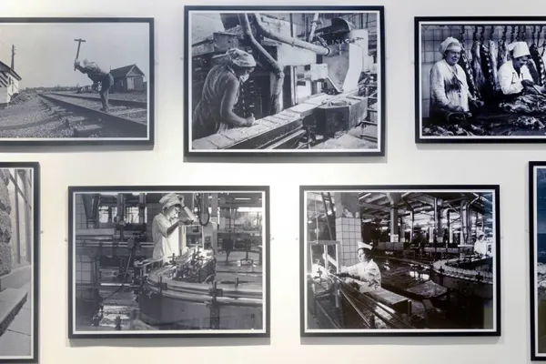 Franki’nin 40 bin fotoğrafı