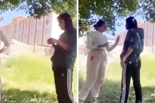 Ayşegül’ü kimler koruyor?