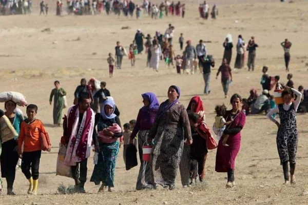 Viyan Dexîl, Êzîdîlerin düşmanıyla ortaklaştı