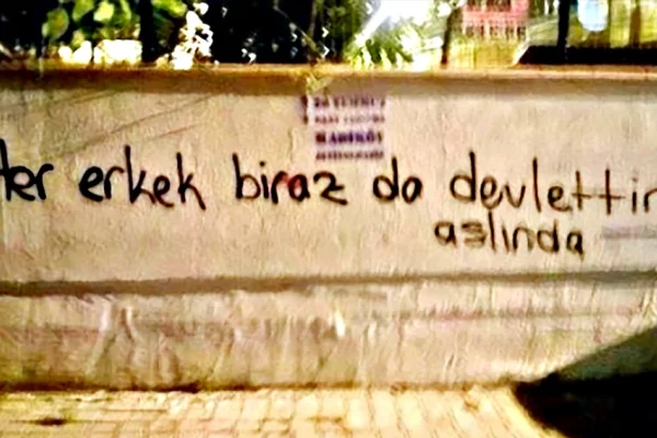 Toplumsal erkekçilik