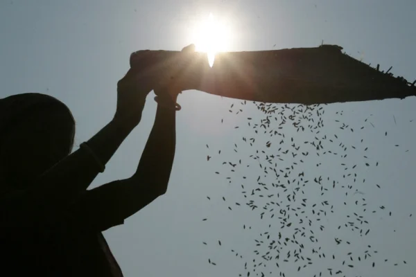 Kadının hakikat arayışına giden yol-2
