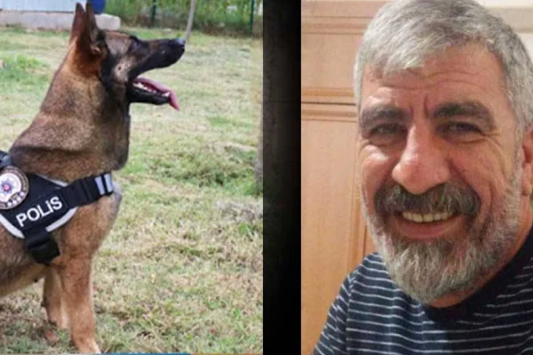 Köpek polisler saldırdı