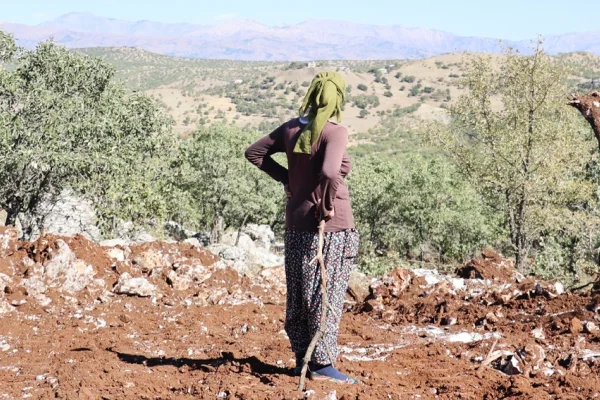Çıralı 2B projesi bir felaket
