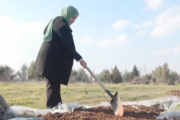 Nar kabuklarından doğal gübreye