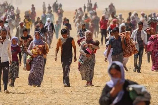 Şengal kararı  korsanvari bir karardır