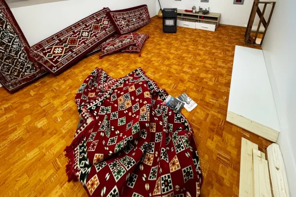 Almanya kadın aktivisti tutukladı